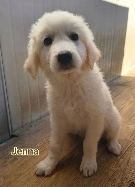 Jenna