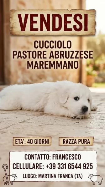 Vendesi Maremmano | Foto 1