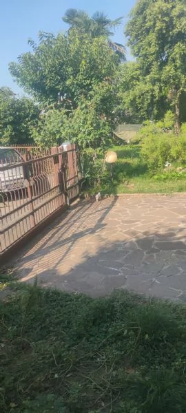 moroseta | Foto 0
