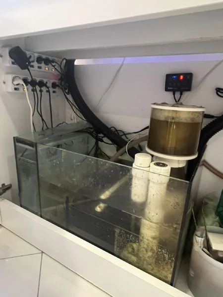 ACQUARIO MARINO | Foto 1