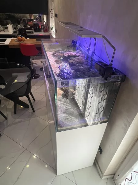 ACQUARIO MARINO | Foto 0