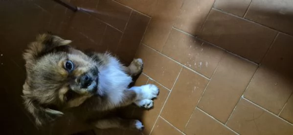 Vendo  | Foto 0