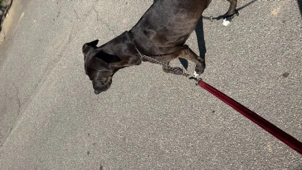Billa  | Foto 4