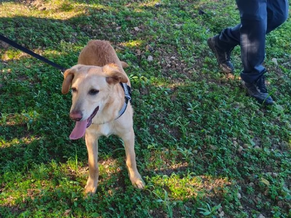 Aramis | Foto 2