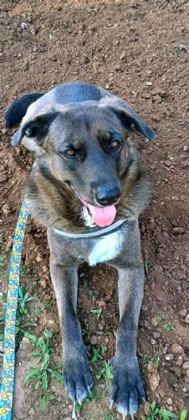 Nerina socievole con tutti | Foto 2
