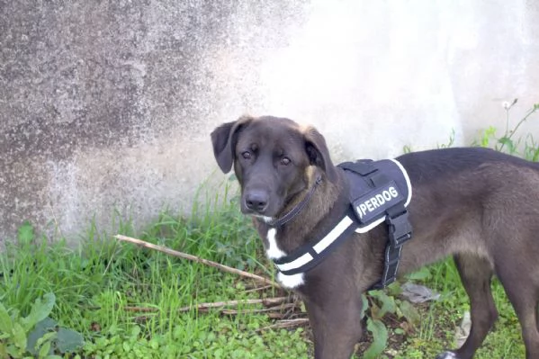Nerina socievole con tutti | Foto 0