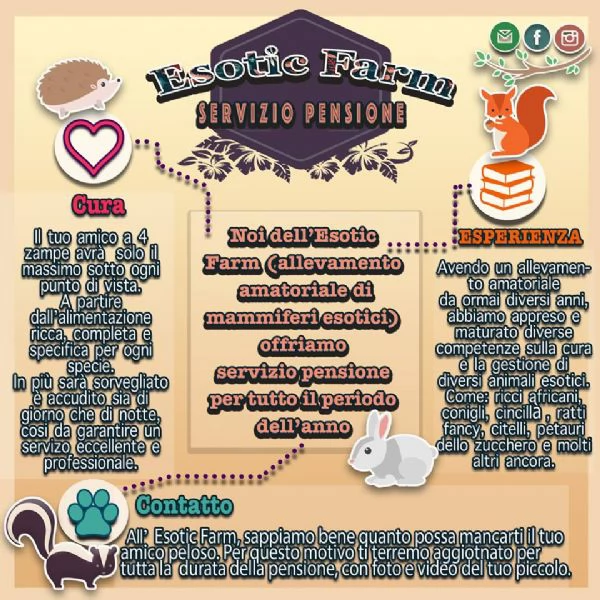 Pensione estiva per animali esotici 
